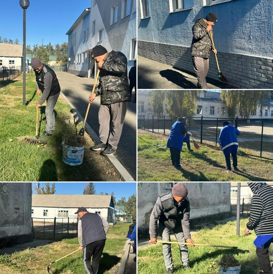 “Таза бейсенбі”